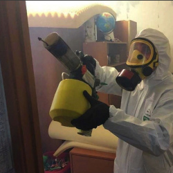 Уничтожение клопов в квартире. Кашин
